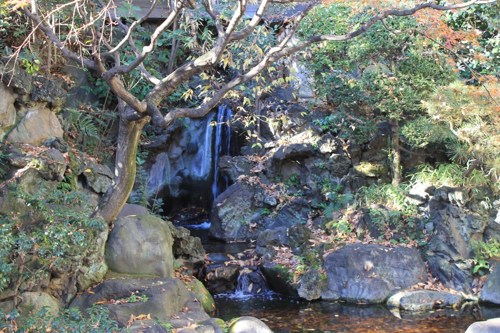 庭園　滝