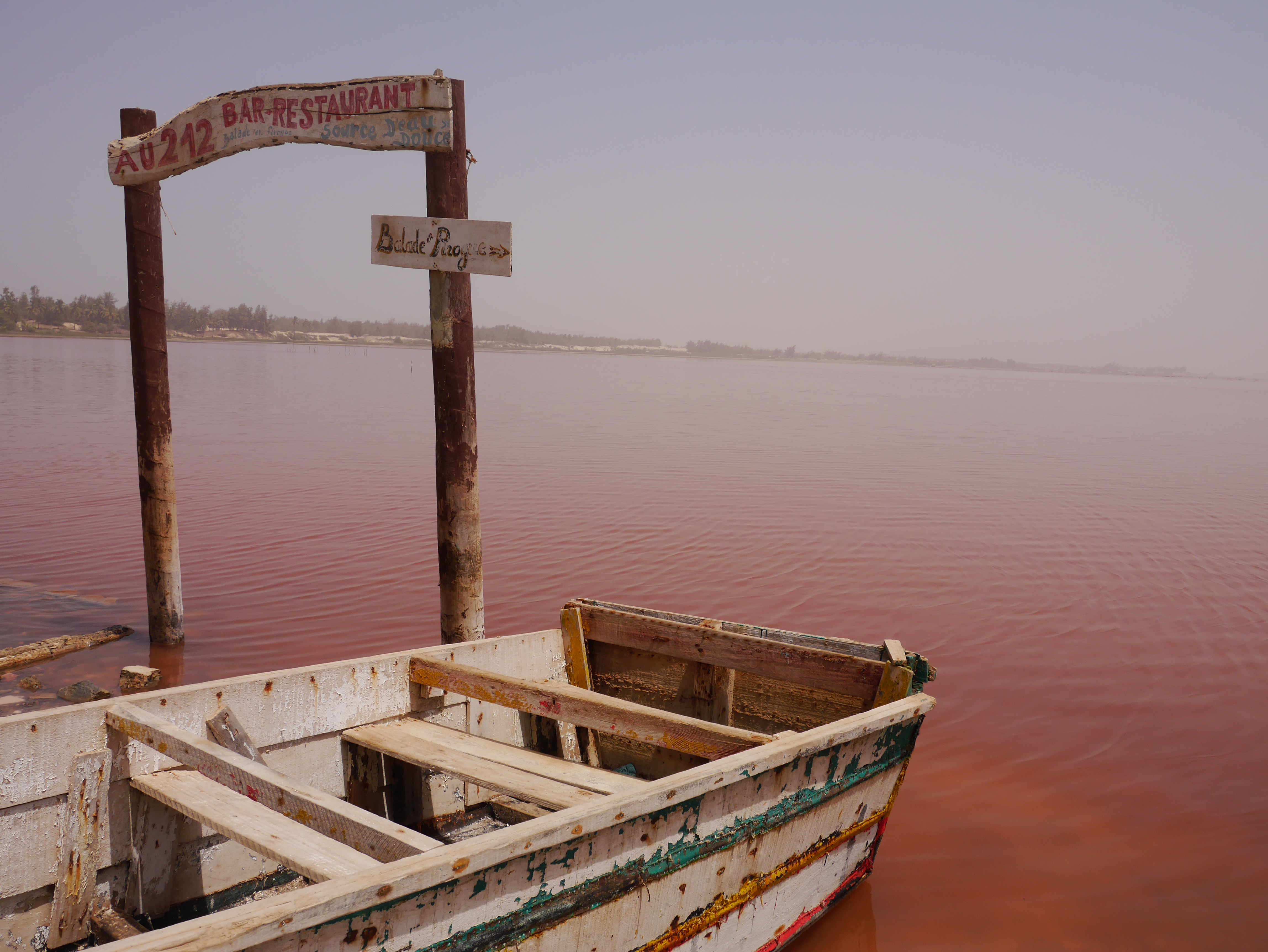 セネガル ピンクに染まる神秘的な湖 レトバ湖 Trip S トリップス