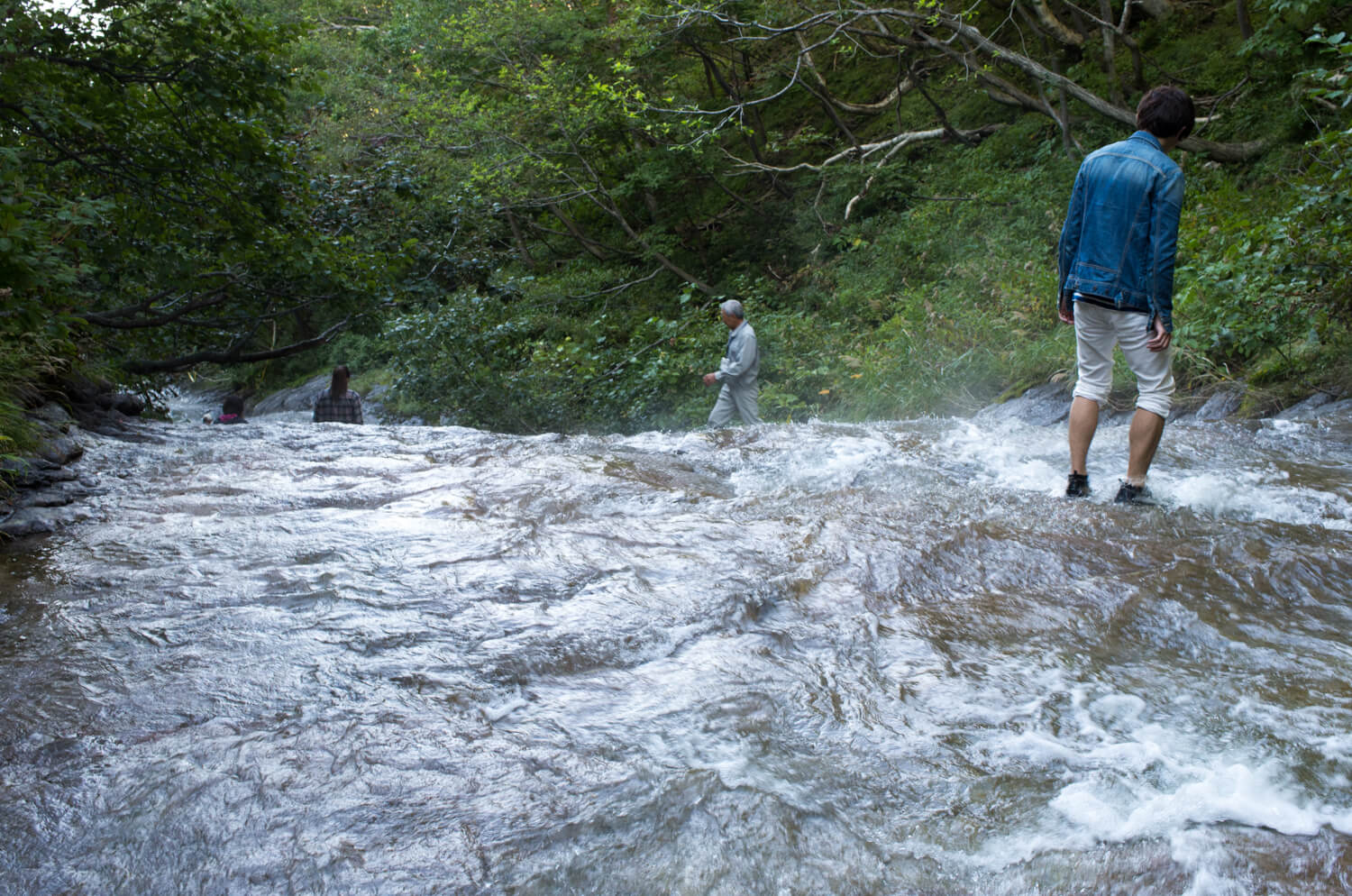 知床は「自然の本気」を感じられる場所です