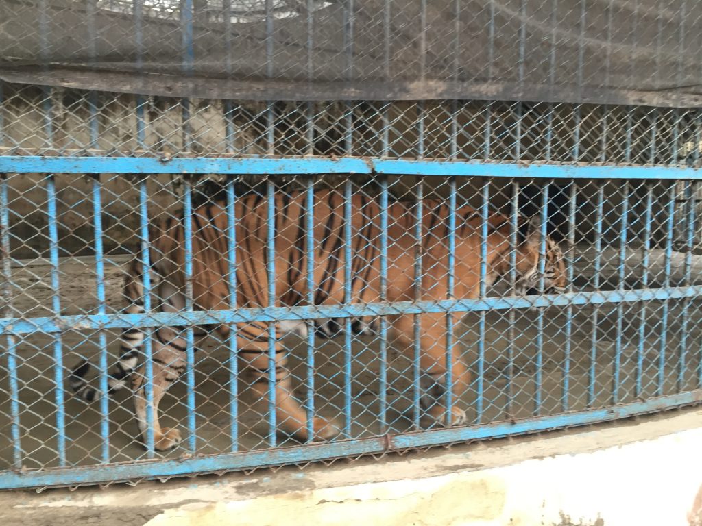 バングラデシュ・ダッカに、10円で入れる動物園がある