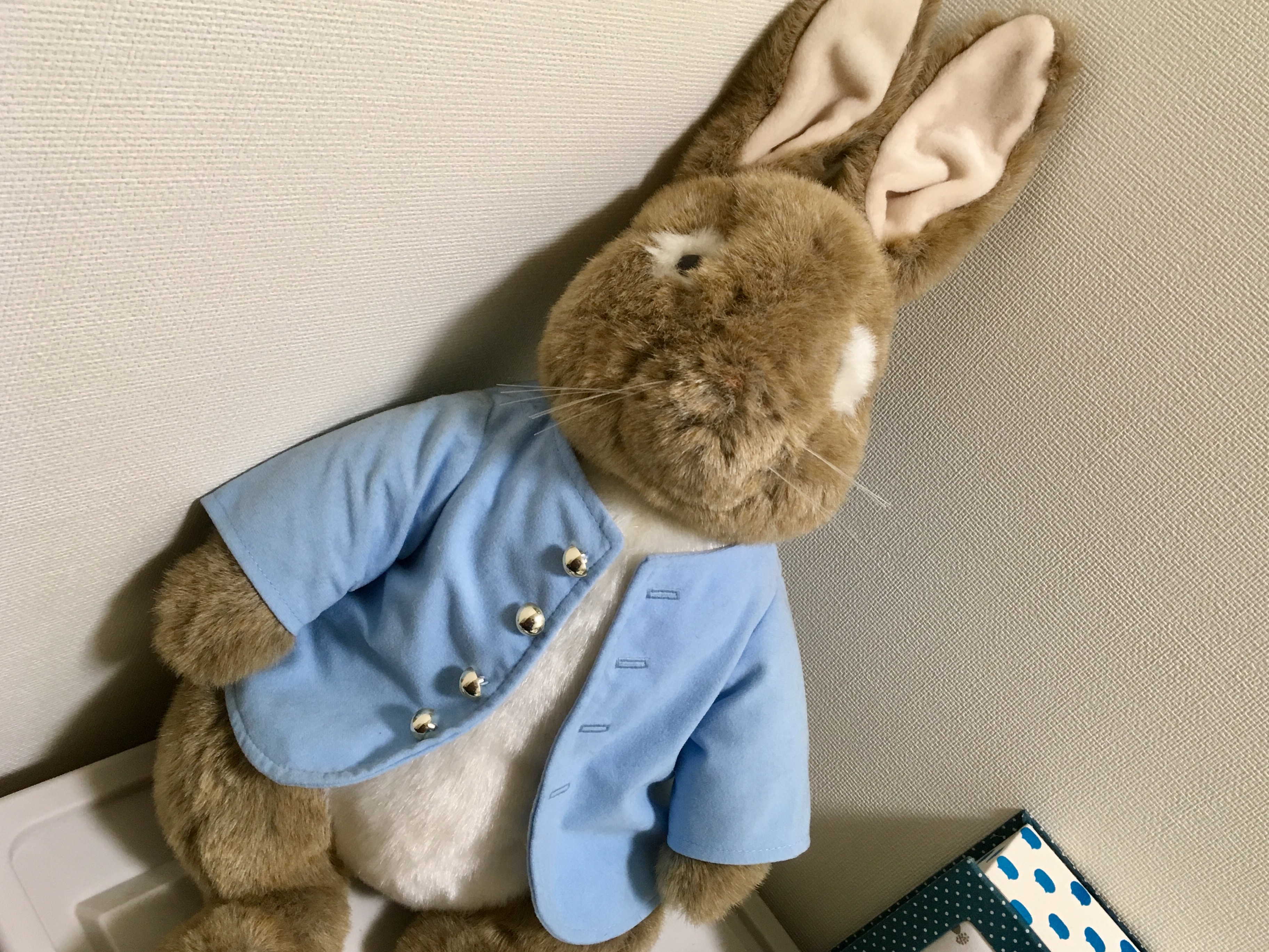 めったに見られない展示でした!