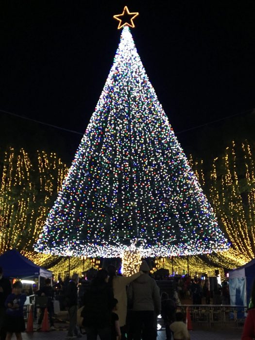 クリスマスの思い出作りは多摩センターで決まり!
