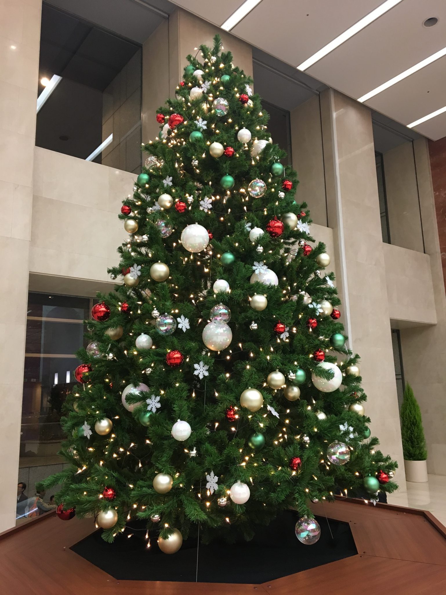 こんなところにもクリスマスツリーが!