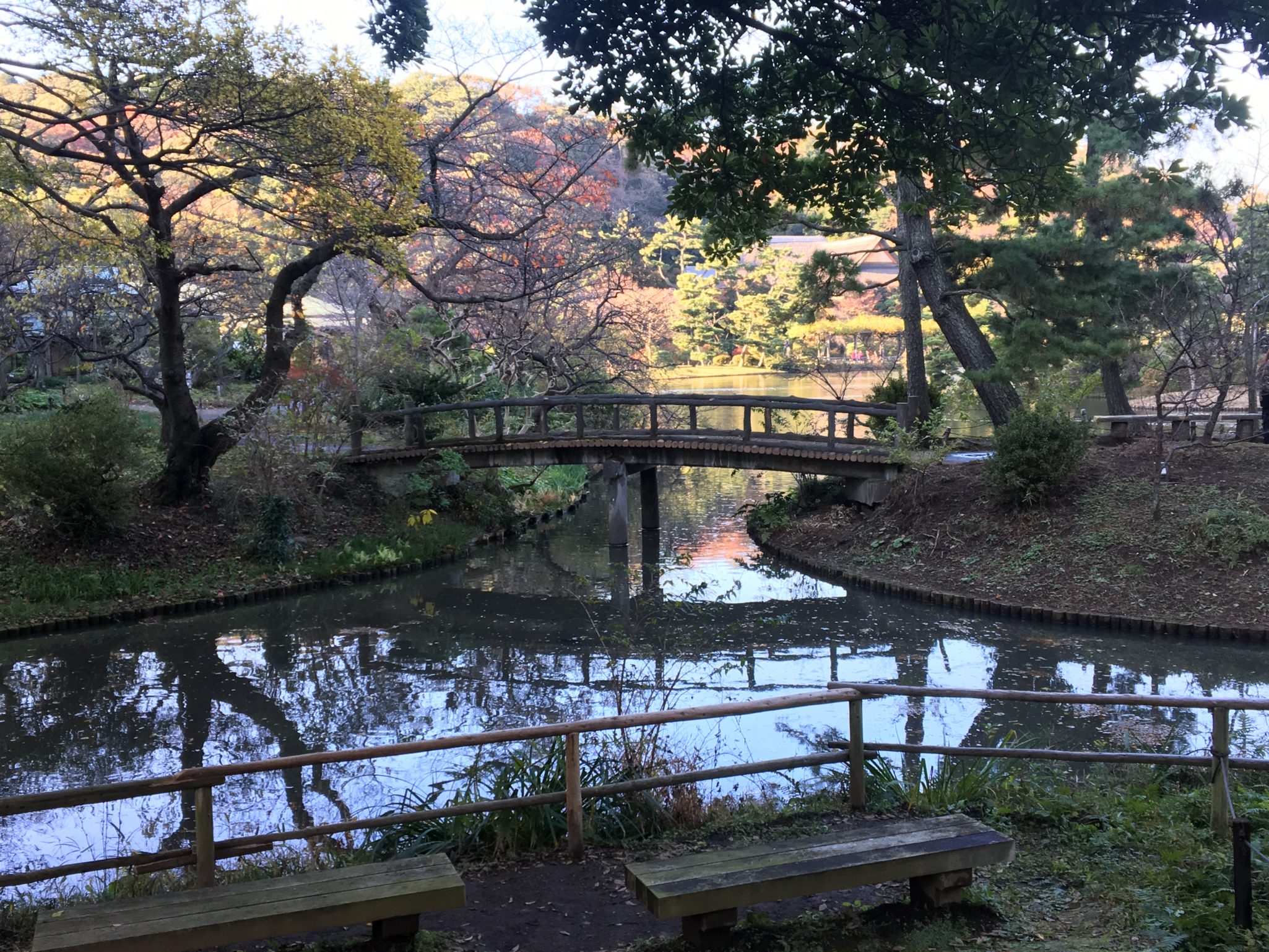 「三渓園」で自然と対話をしよう!
