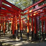 東伏見稲荷神社