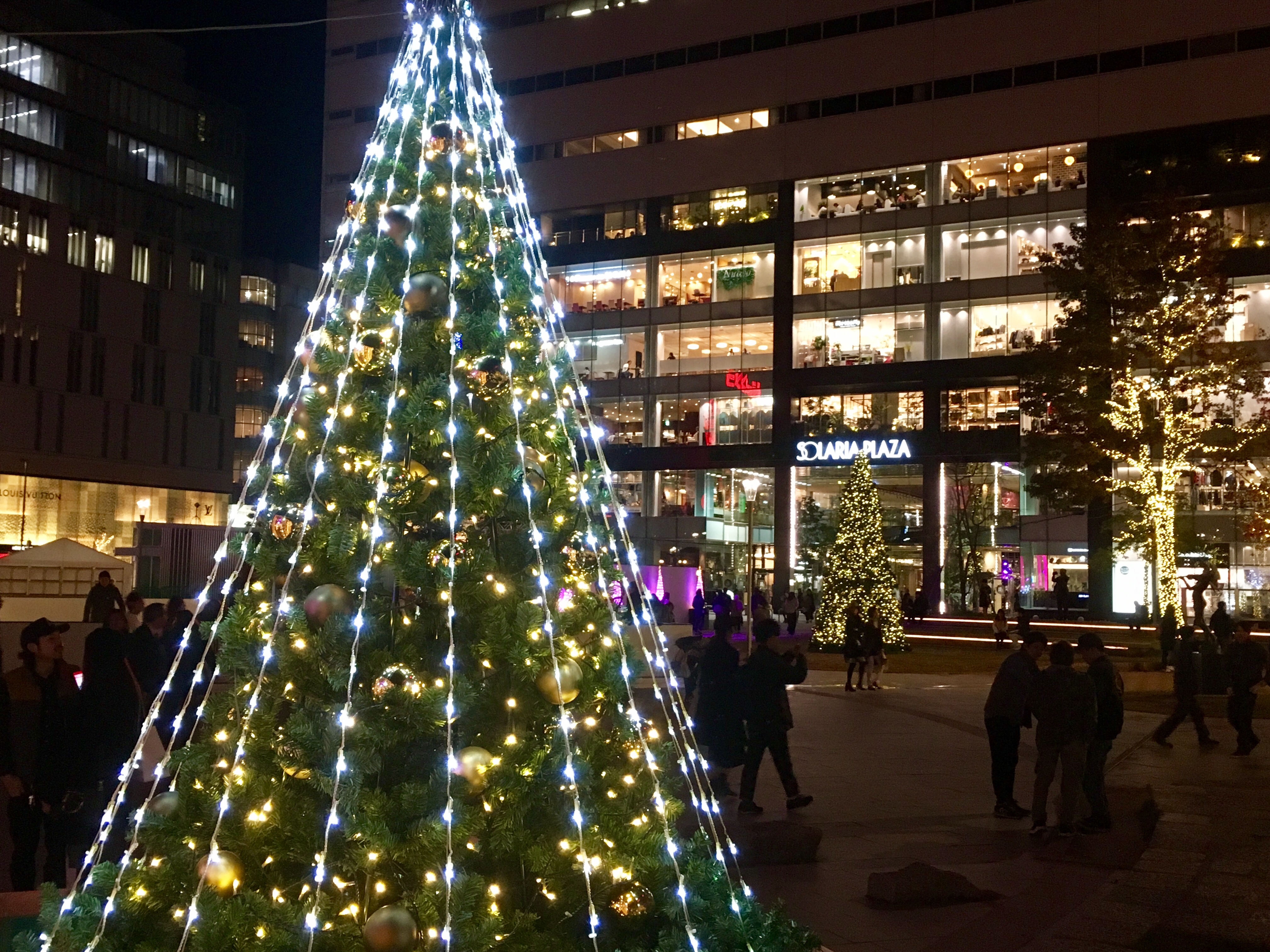 体験するクリスマスが始まっている!?