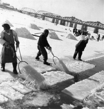 50年代、60年代は……。