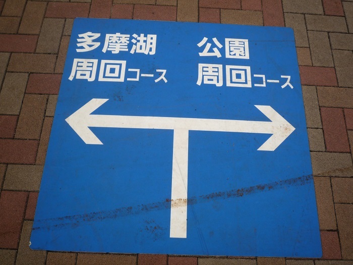 多摩湖自転車道路にはまだまだ先がある……不思議なトトロの森