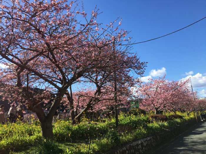 私たちが守るべき日本の美しい景観