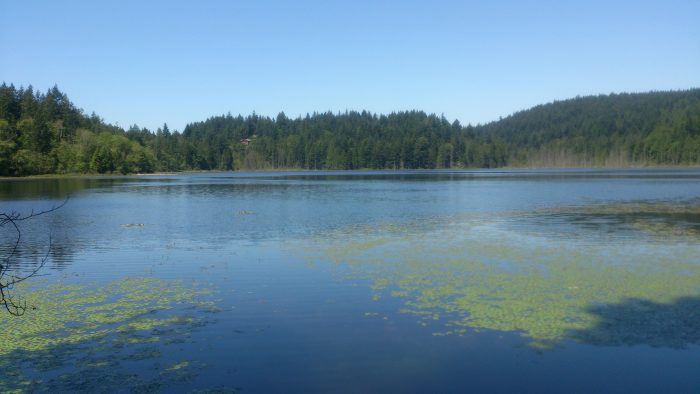 癒しのパラダイス「Bowen Island」は、まるで天国のような島でした。 TRIP'S（トリップス）