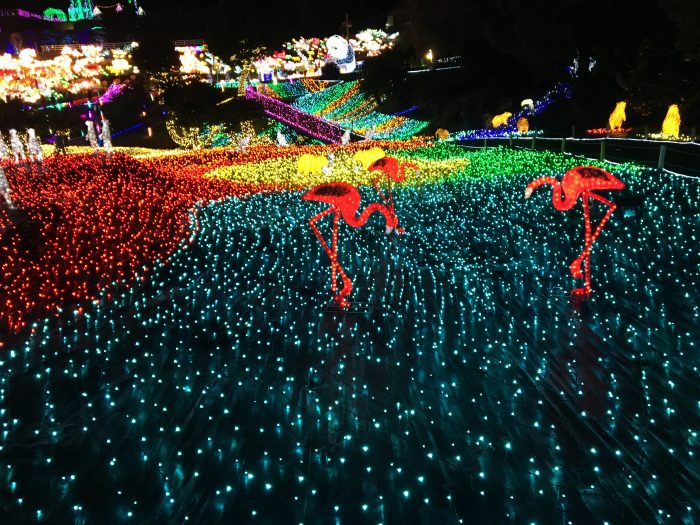 懐かしのぐらんぱる公園は進化していた。
