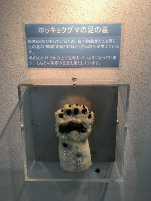 子供たちの