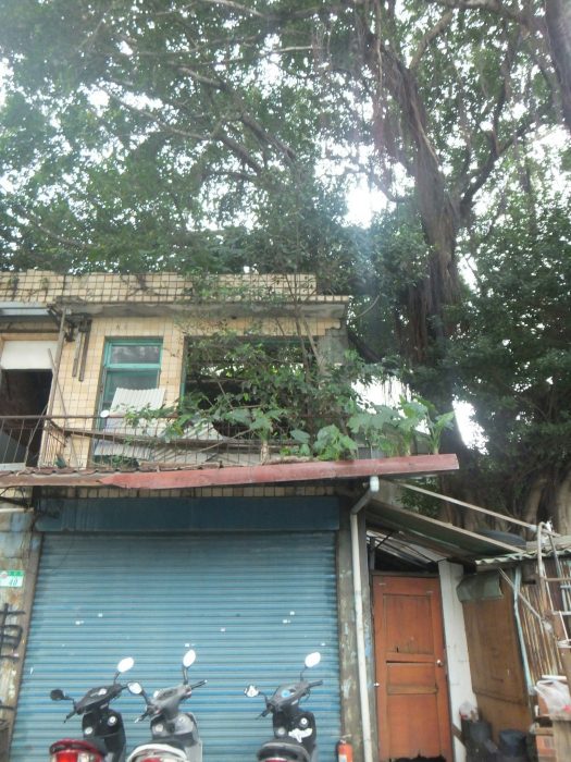 大龍峒エリアのひそかな楽しみ、廃墟探し