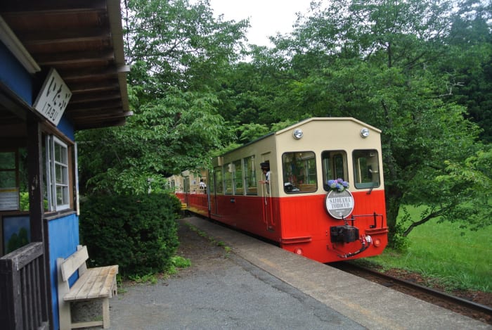 観光&トイレだけでなく、電車も見られました~!