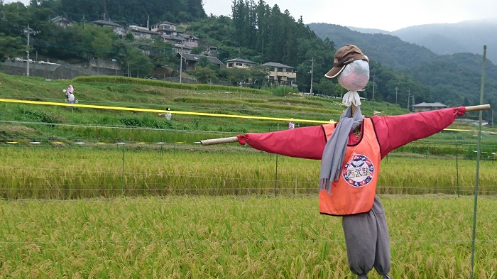 武甲山の姿はジブリアニメに隠されたメッセージ……