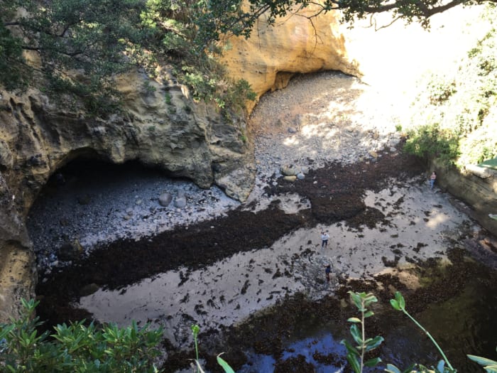 校閲ガールにも登場 南伊豆のハート型 龍宮窟 実際はこんなかんじ Trip S トリップス