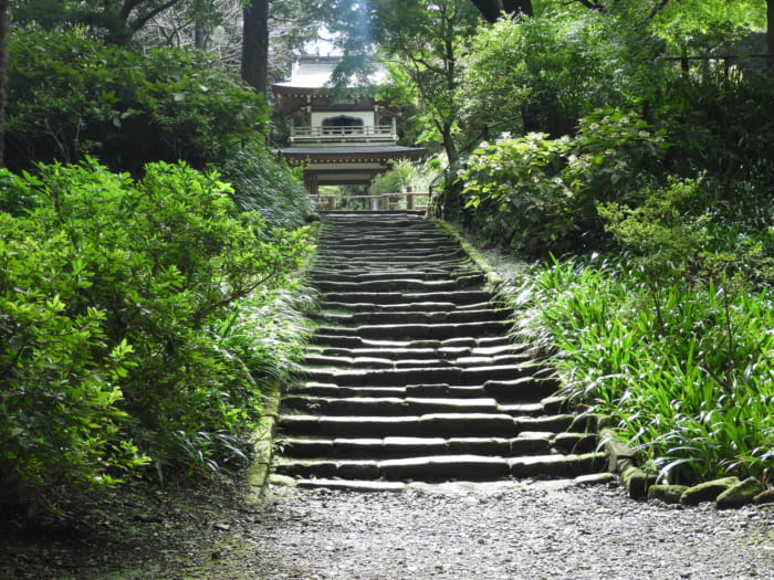 乃木坂46のジャケット撮影に遭遇 ロケ地の北鎌倉の寺院を巡ってみる Trip S トリップス