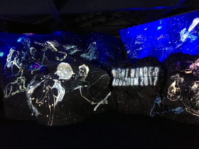 ハロウィンフェスティバルと合わせて楽しみたい「ナイトワンダーアクアリウム2017 ~満天の星降る水族館~」パート2
