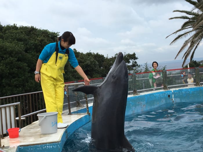 ジャンボ