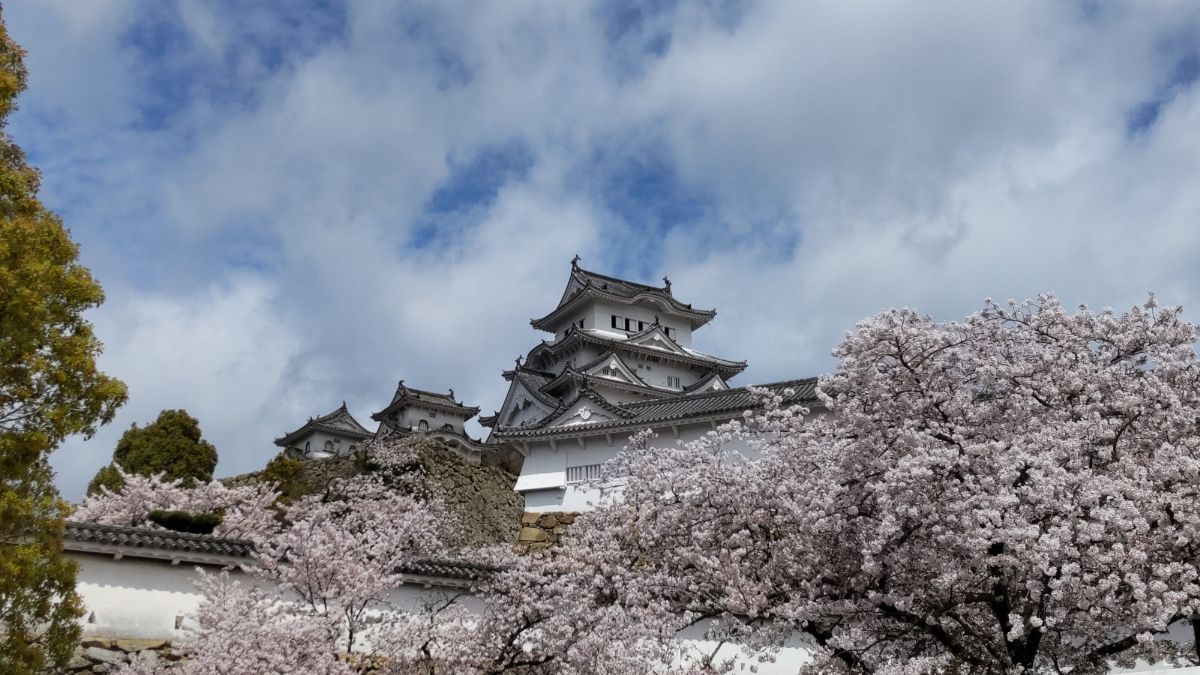 世界遺産の姫路城_別名_白鷺城