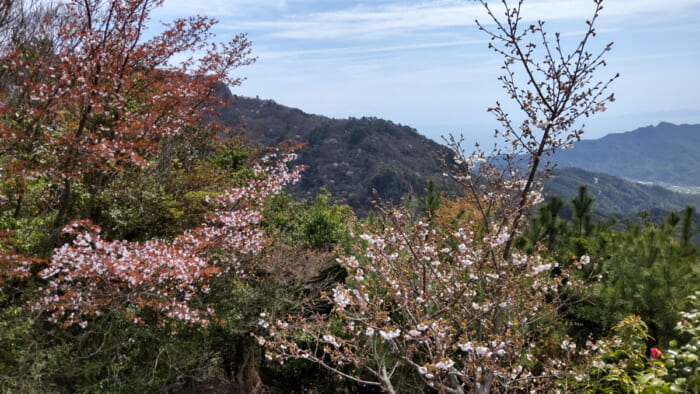 小豆島の一番の絶景ポイントは日本三大渓谷美の一つ「寒霞渓」