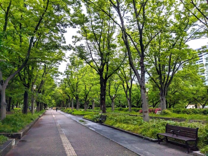 靭公園があるのは大阪市西区。地下鉄本町駅の28番出口が最寄りですが、肥後橋駅からでも徒歩5分かからない好立地