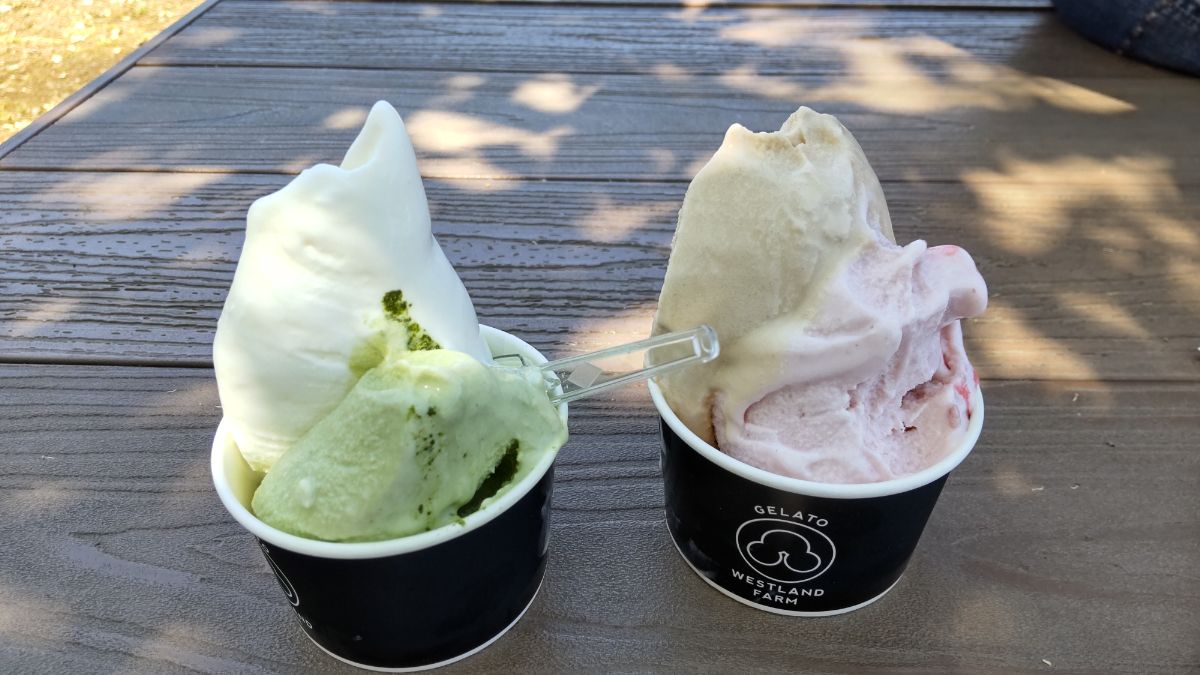 牧場しぼりたて絶品ジェラート　行列の出来る清水牧場　Westland Farm