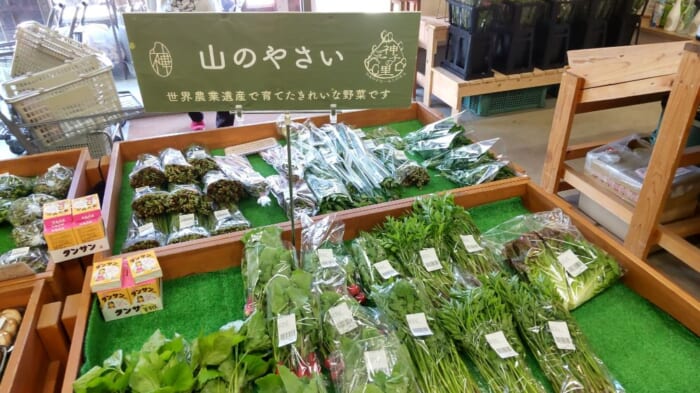 魅力的な品物がいっぱい「神子の里」_世界農業遺産で作られた野菜。春から夏にかけては山菜も豊富