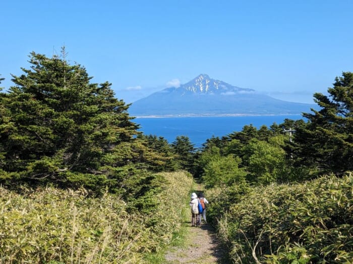 初心者におすすめ！礼文島「桃岩展望台コース」を3時間のんびりトレッキング_利尻富士