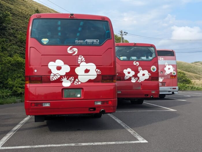 礼文島の定期観光バス