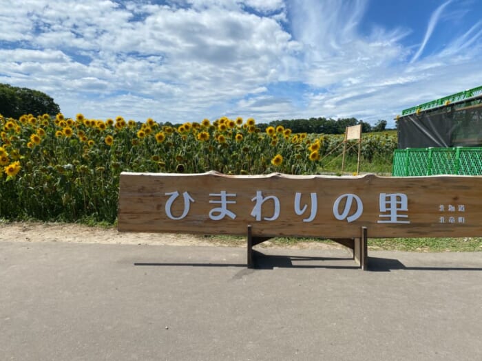 北海道の“ひまわり”といえばここは外せない！北竜町・ひまわりの里で夏のお花見を楽しもう