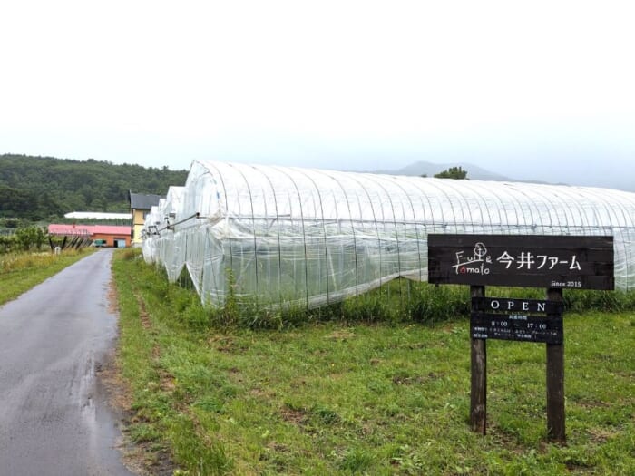 フルーツの町・仁木町（余市）でフルーツ狩り！さくらんぼ狩りやぶどう狩りを楽しもう