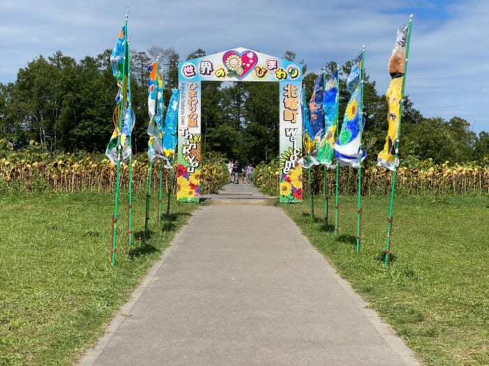 北海道の“ひまわり”といえばここは外せない！北竜町・ひまわりの里で夏のお花見を楽しもう