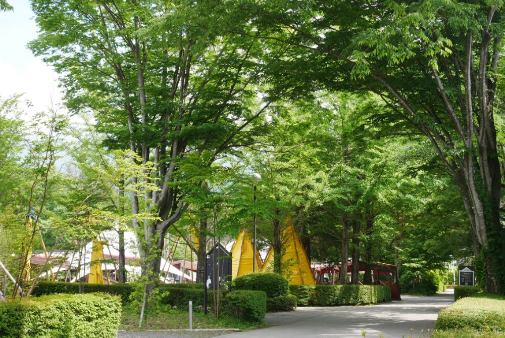 愛犬と楽しむBBQ・温泉も！那須「TOWAピュアコテージ」お得いっぱいステイ