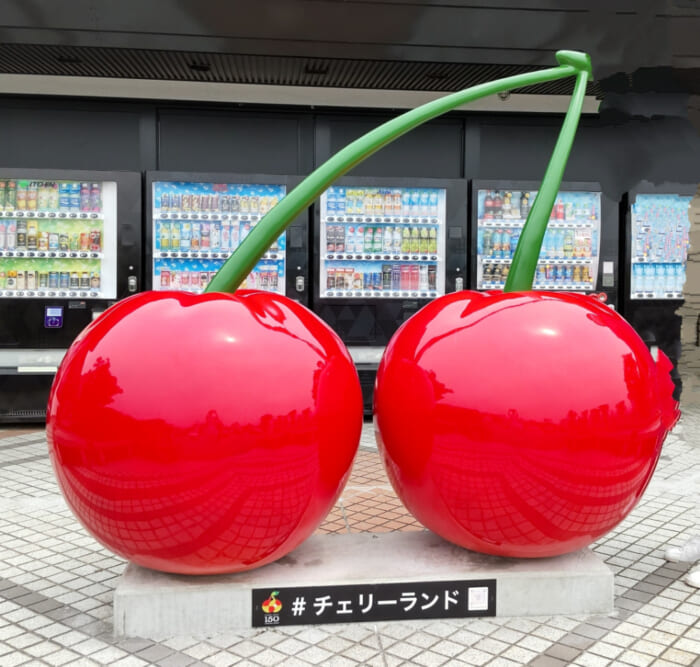 さくらんぼづくしの道の駅　寒河江チェリーランド　kokocherry（ココチェリー）