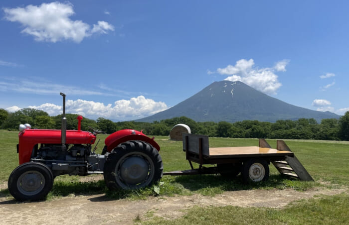 夏のニセコ観光で訪れたい！ソフトクリームが人気の「高橋牧場 ミルク工房」