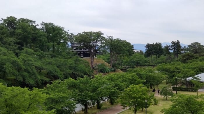 東洋一の蓮が広がる　新潟県上越市にある高田城址公園はまさに緑のオアシス