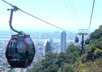 新幹線を降りて15分！ちょっと涼しい神戸の避暑地「神戸布引ハーブ園」