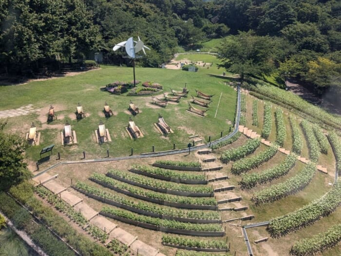 新幹線を降りて15分！ちょっと涼しい神戸の避暑地「神戸布引ハーブ園」