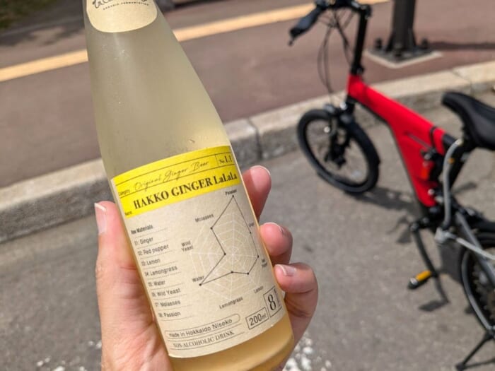 サイクリングで観光する夏のニセコ！レンタルするならe-Bikeがおすすめ_HAKKOGINGER No.1