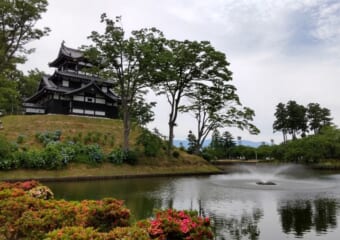 東洋一の蓮が広がる　新潟県上越市にある高田城址公園はまさに緑のオアシス