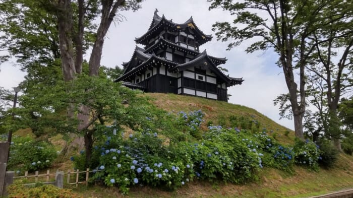 東洋一の蓮が広がる　新潟県上越市にある高田城址公園はまさに緑のオアシス