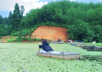 秋田・三種町の夏の風物詩！箱に乗ってじゅんさい摘み採り体験に挑戦