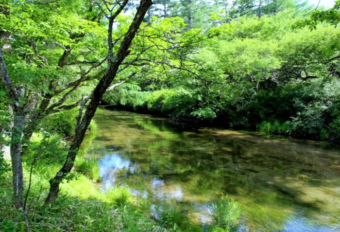 涼しさ別天地！国際避暑地・奥日光の絶景涼感スポット_湯川の流れ