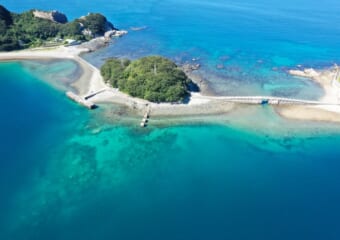 愛媛の八幡浜でワーケーション！温泉や海の幸を楽しみながら仕事と休日で充実した滞在を