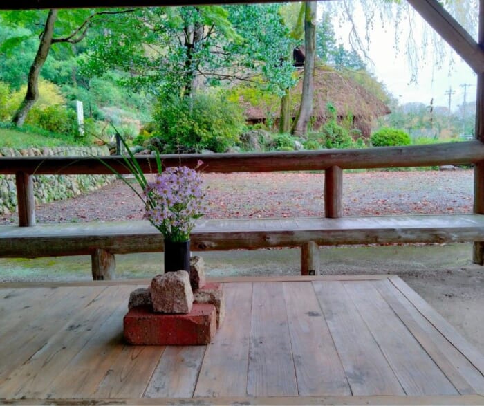 この秋オススメの開運パワースポット「高麗神社」と巾着田の曼珠沙華の異世界