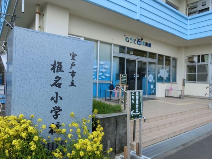 廃校小学校が水族館に変身！高知「むろと廃校水族館」のユニークな展示