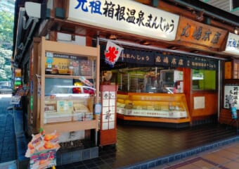 わずか3時間で箱根を満喫！箱根湯本駅周辺で温泉・スイーツ・レトロカフェ・パワースポット欲張り低予算日帰り旅行