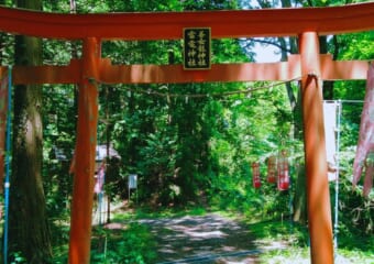 秩父の「隠れた龍神スポット」善女龍王神社・雷電神社―珍しいパワースポット＆龍神好きにおススメ