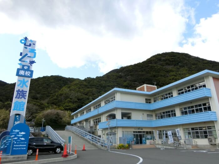 廃校小学校が水族館に変身！高知「むろと廃校水族館」のユニークな展示